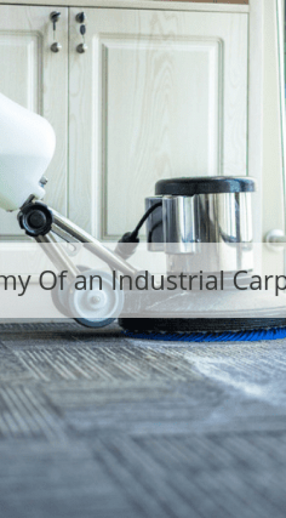 The Anatomy Of an Industrial Carpet Cleaner